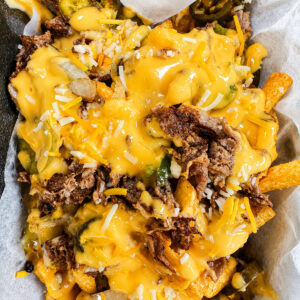 loaded steak philly fries